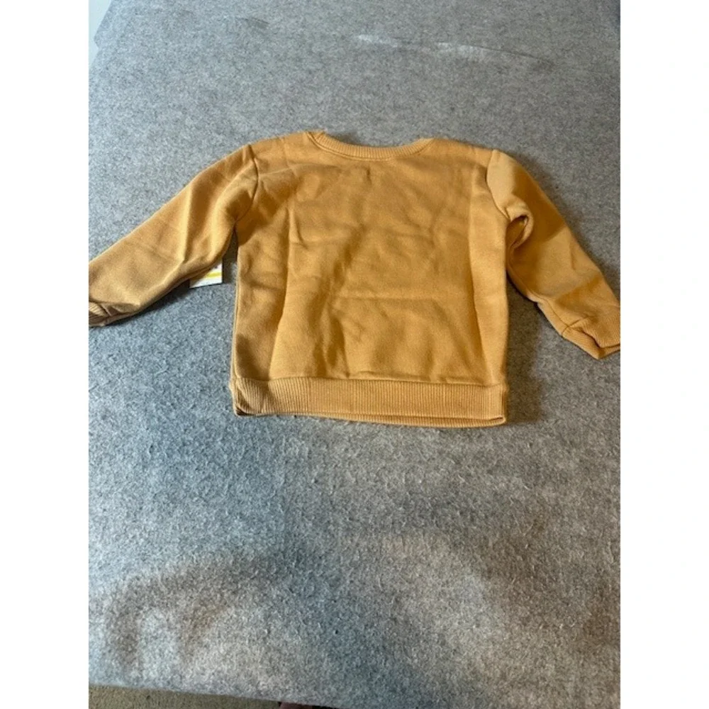 Garanimals Toddler Boys Mammoth Vibes Only Fleece Sweatshirt Brown 2T NWT